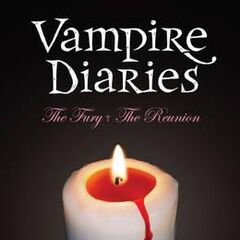 vampire diaries dark reunion